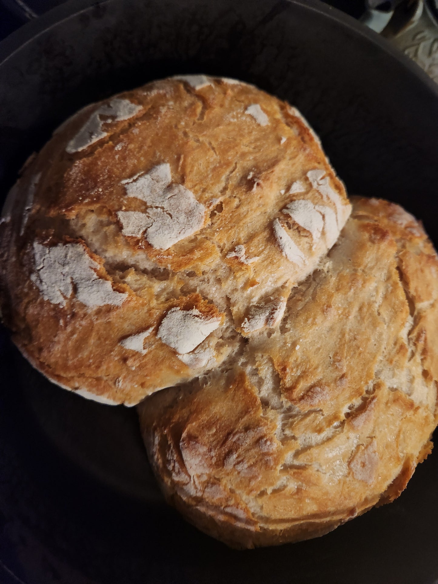 1012 a.d. Sourdough ~ from Italy